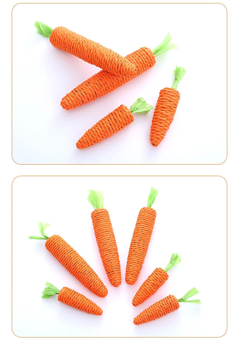 Carrot Cat Toy