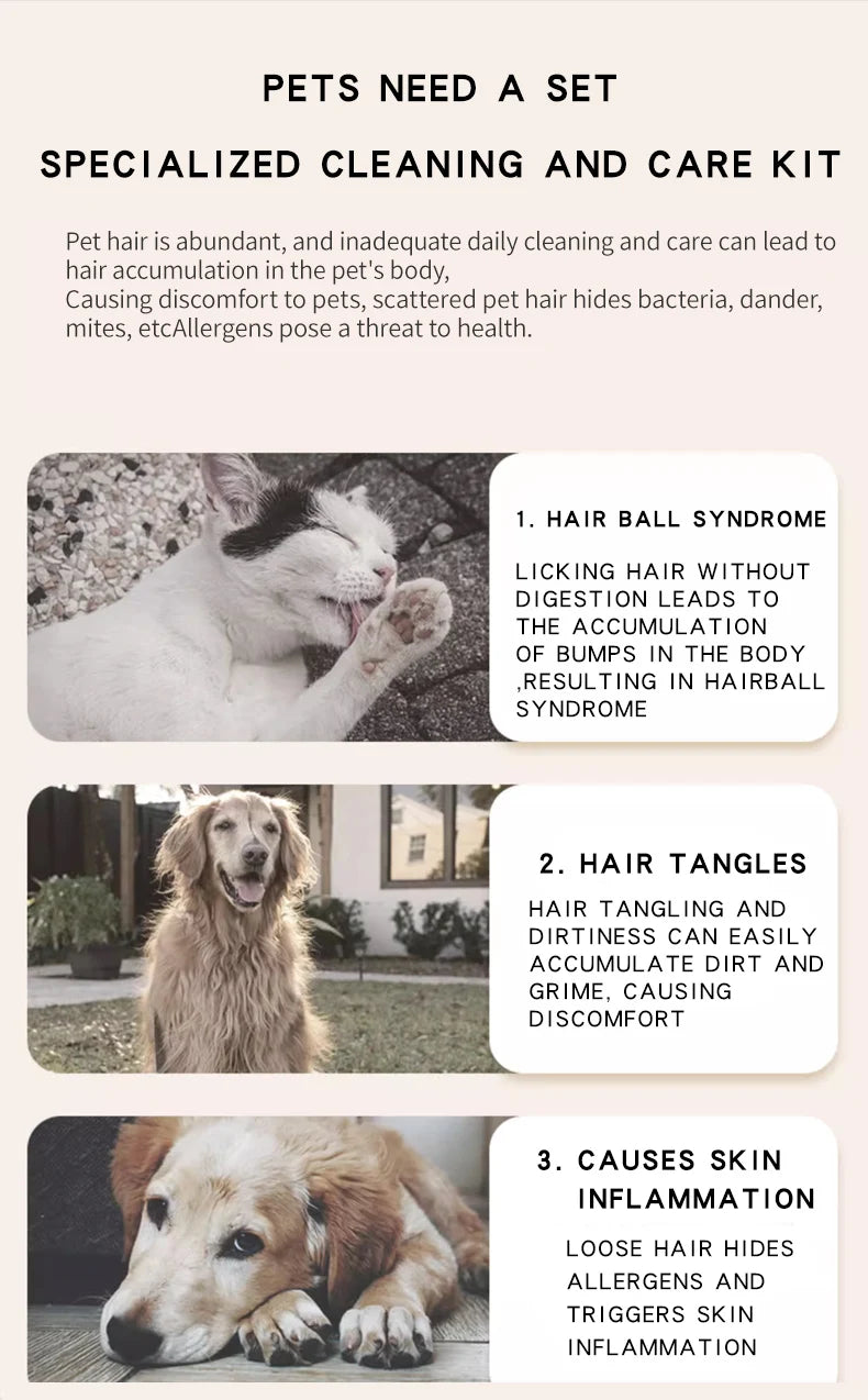 Pet Hair Dryer