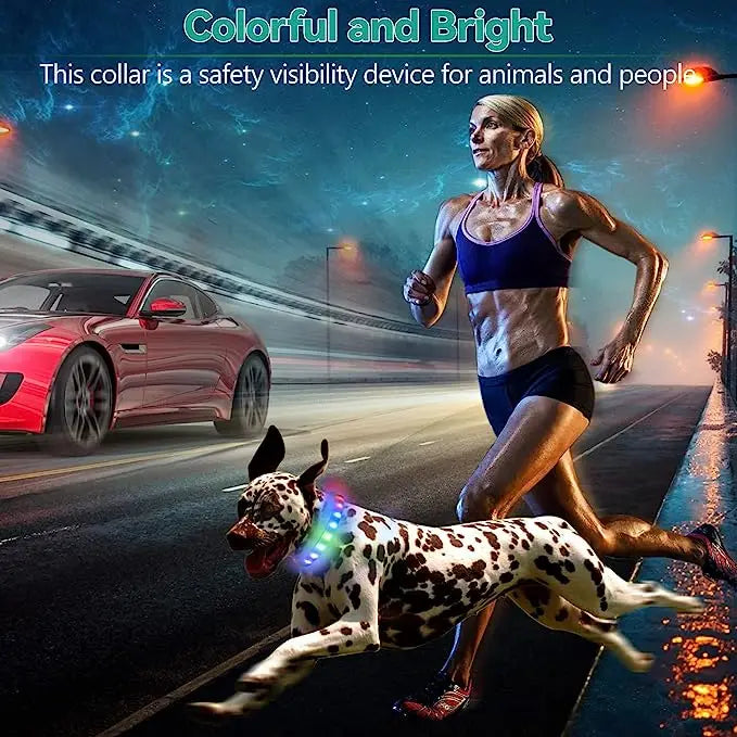 LED Dog Collar
