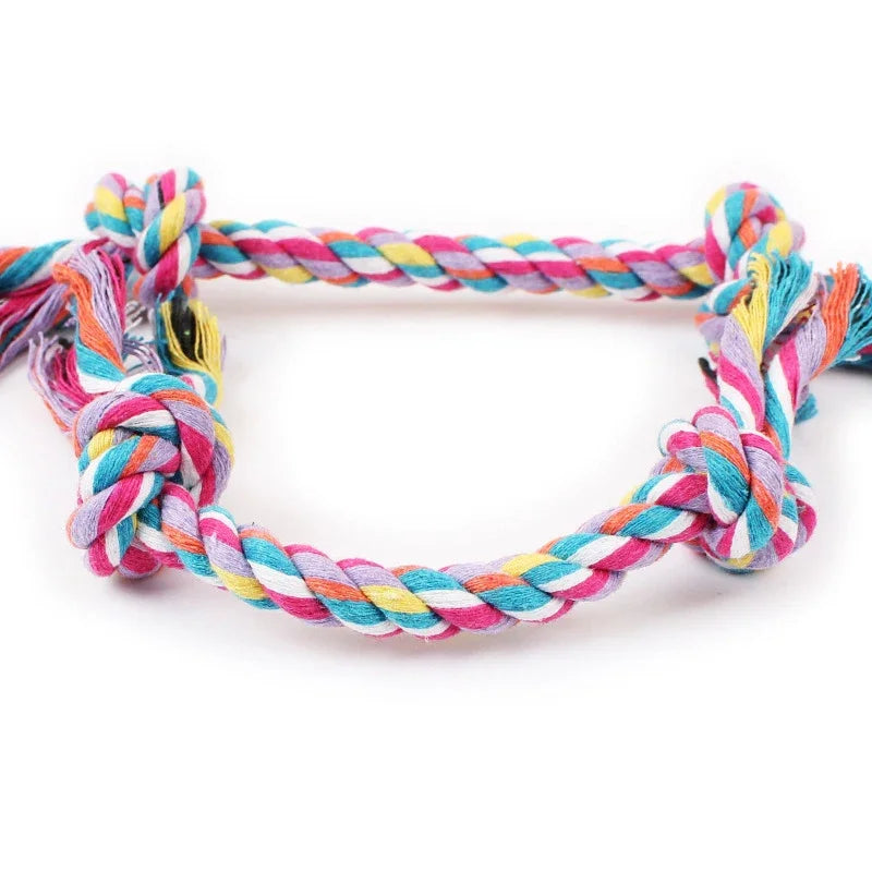 Random Pet Chew Toy
