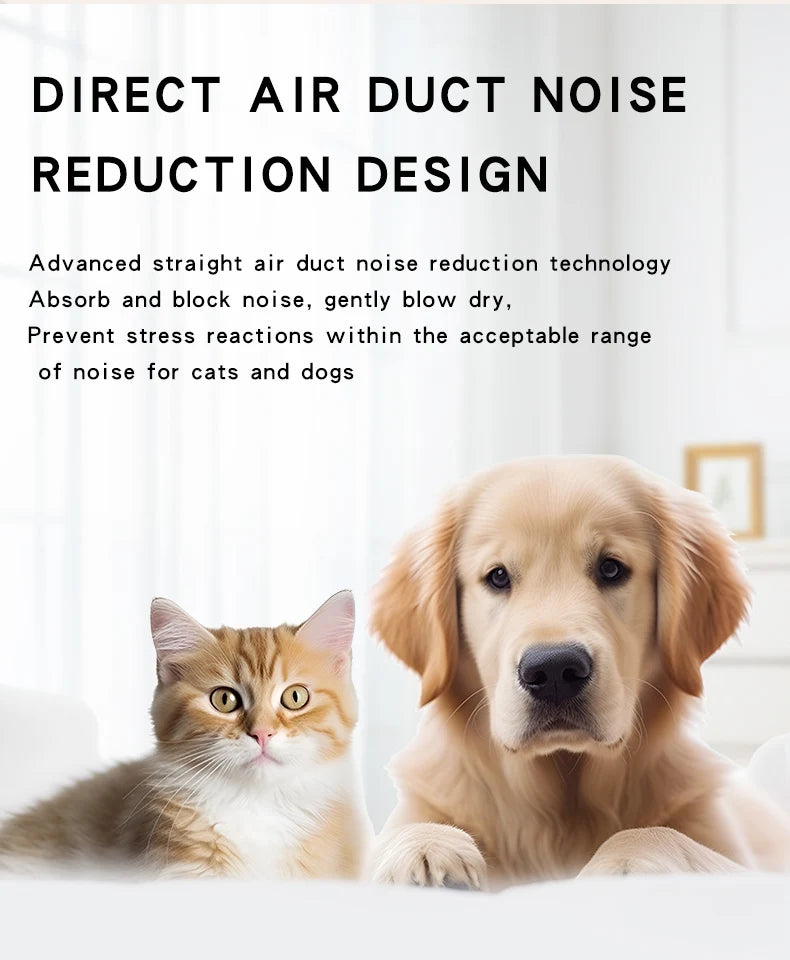 Pet Hair Dryer