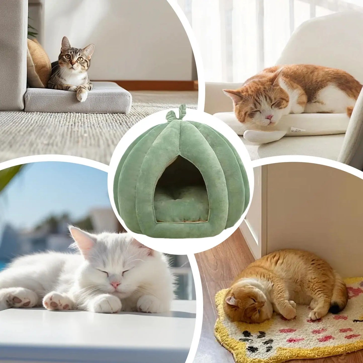 Pumpkin Cat House Bed
