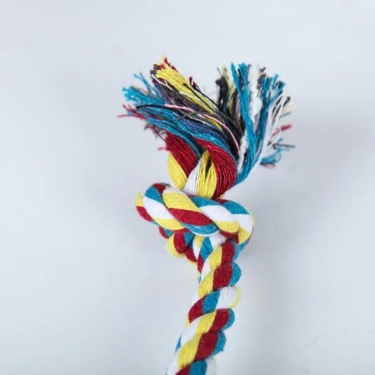 Random Pet Chew Toy
