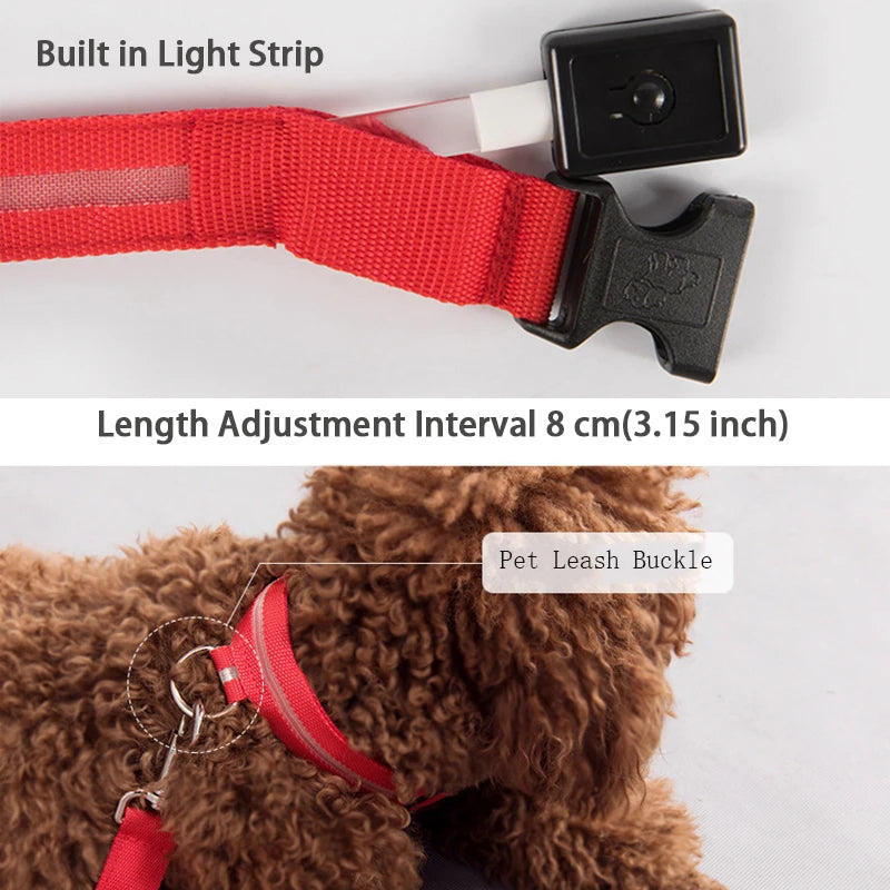 LED Dog Collar