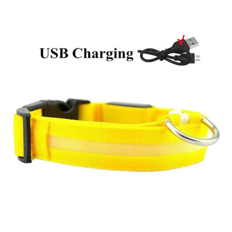 LED Dog Collar