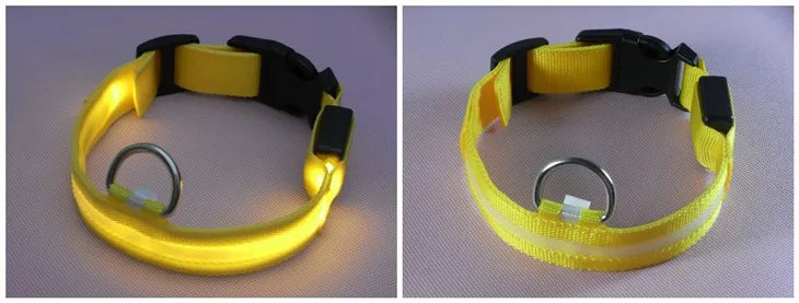 LED Dog Collar