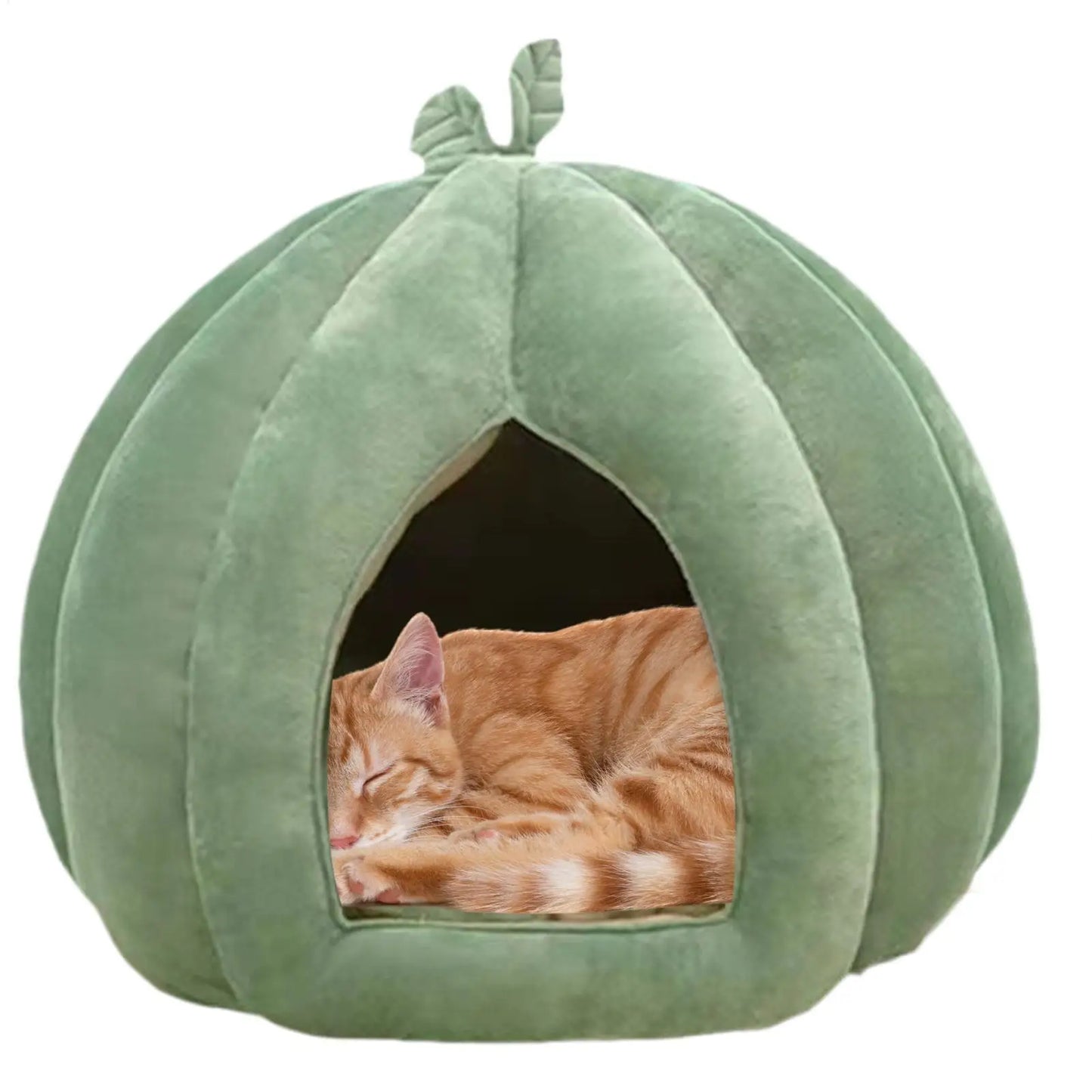 Pumpkin Cat House Bed