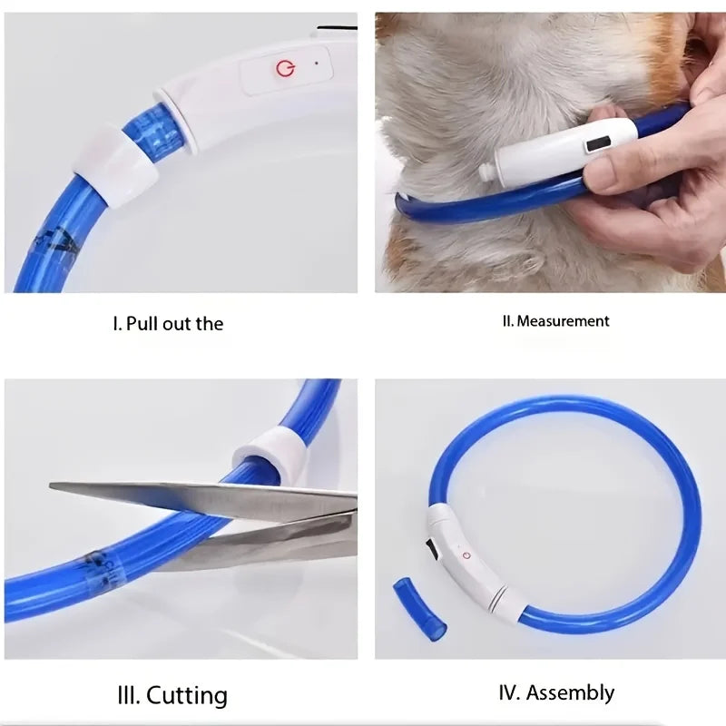 LED Dog Collar