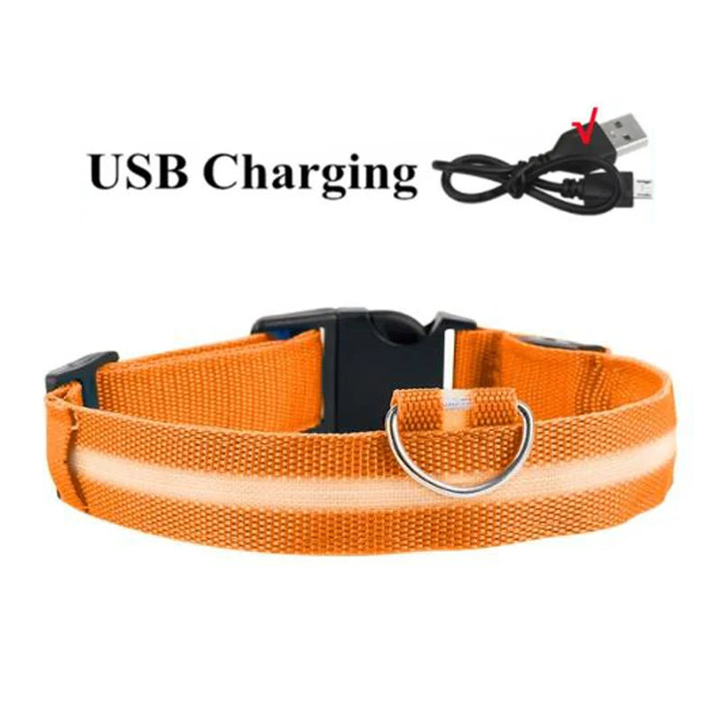 LED Dog Collar