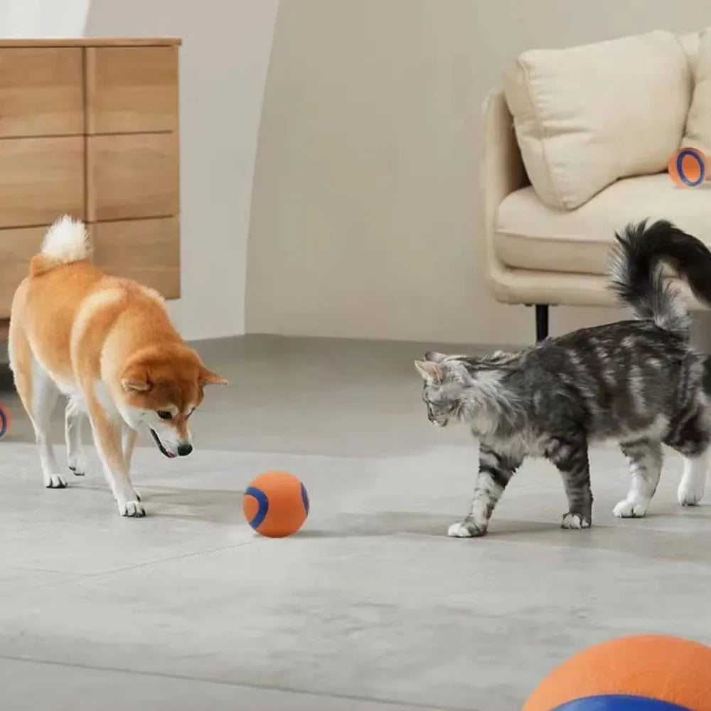 Toy Fetch Ball
