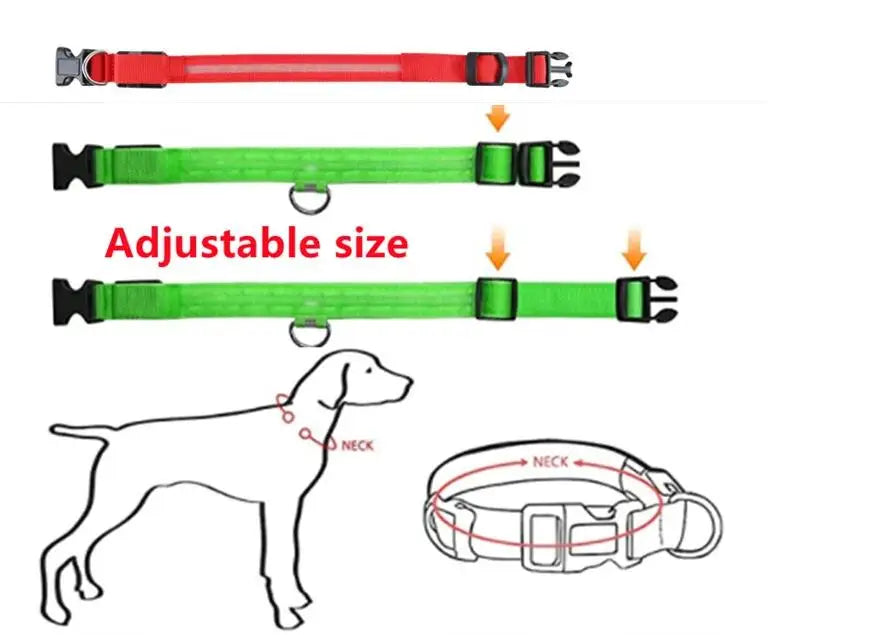 LED Dog Collar