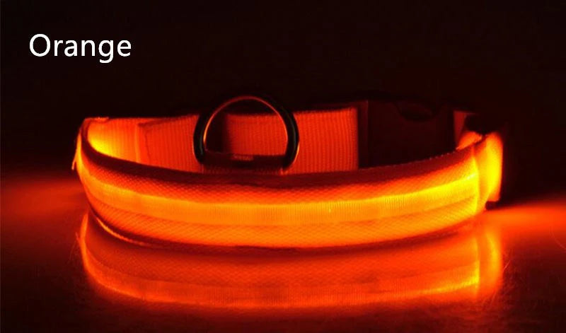 LED Dog Collar