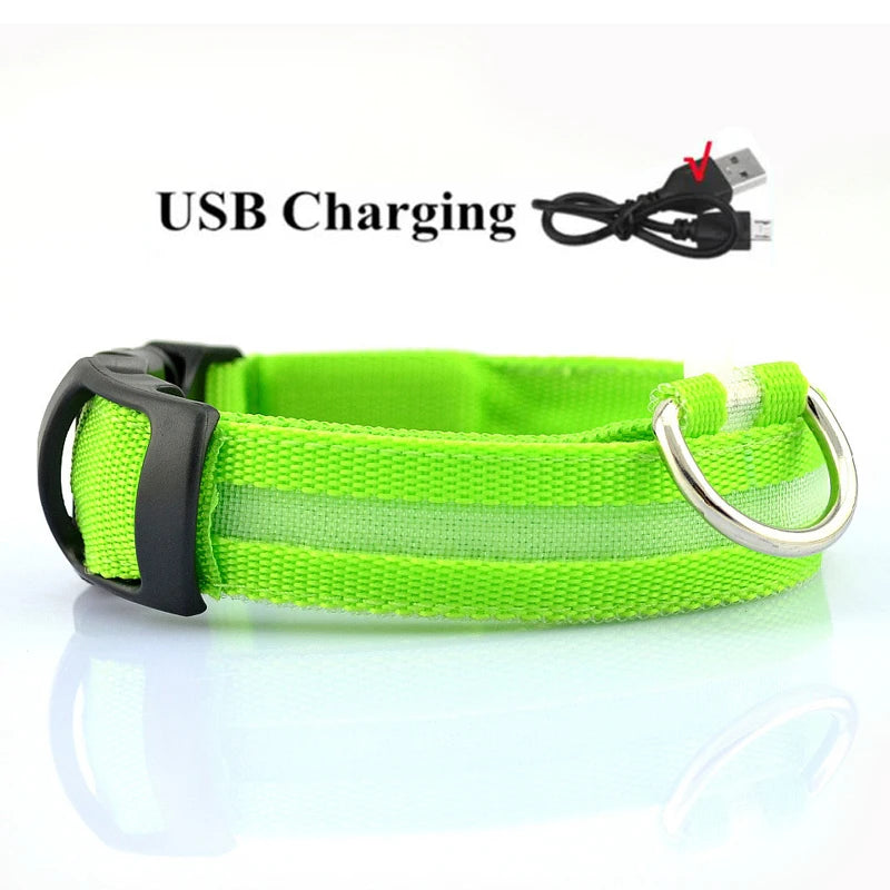 LED Dog Collar