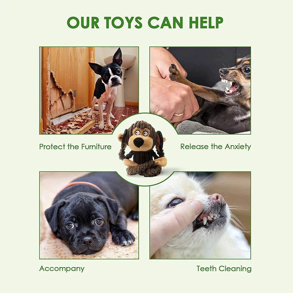 Dog Plush Chew Toy