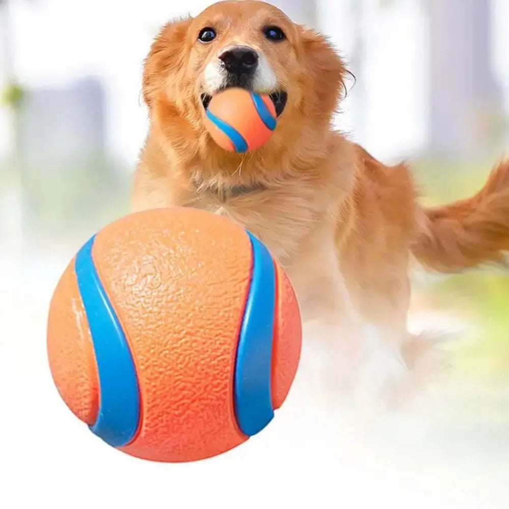 Toy Fetch Ball
