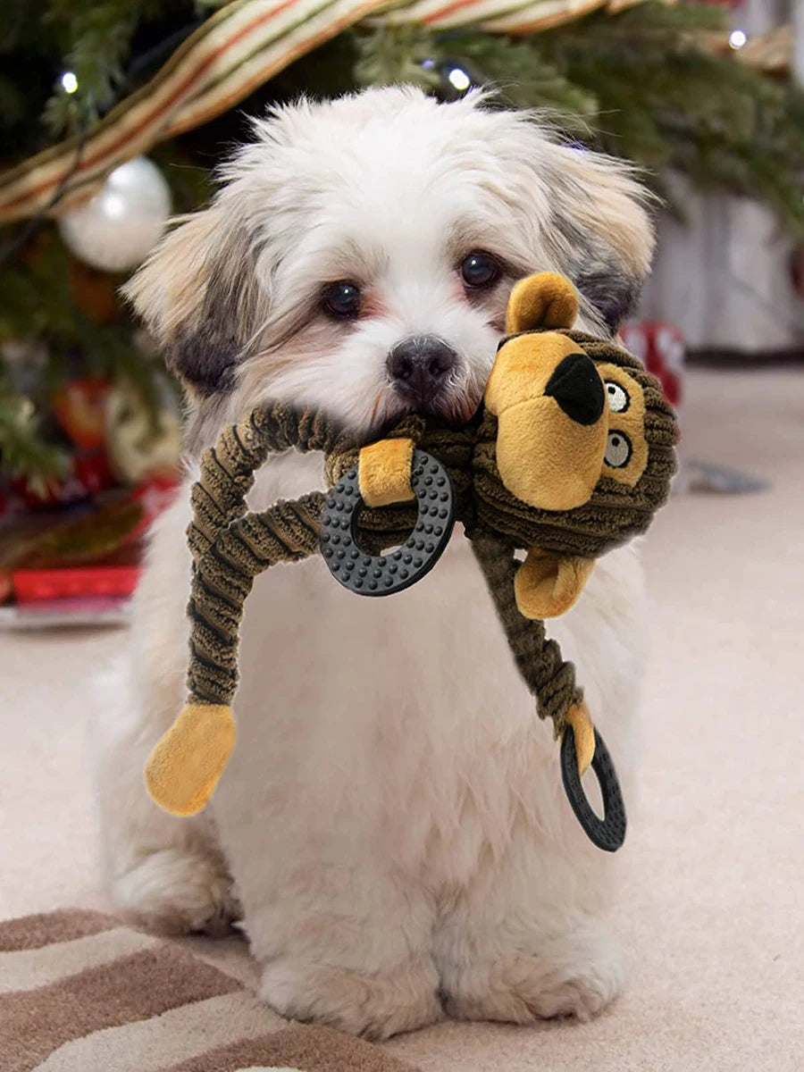 Dog Plush Chew Toy