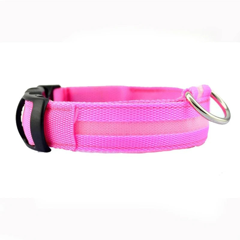 LED Dog Collar