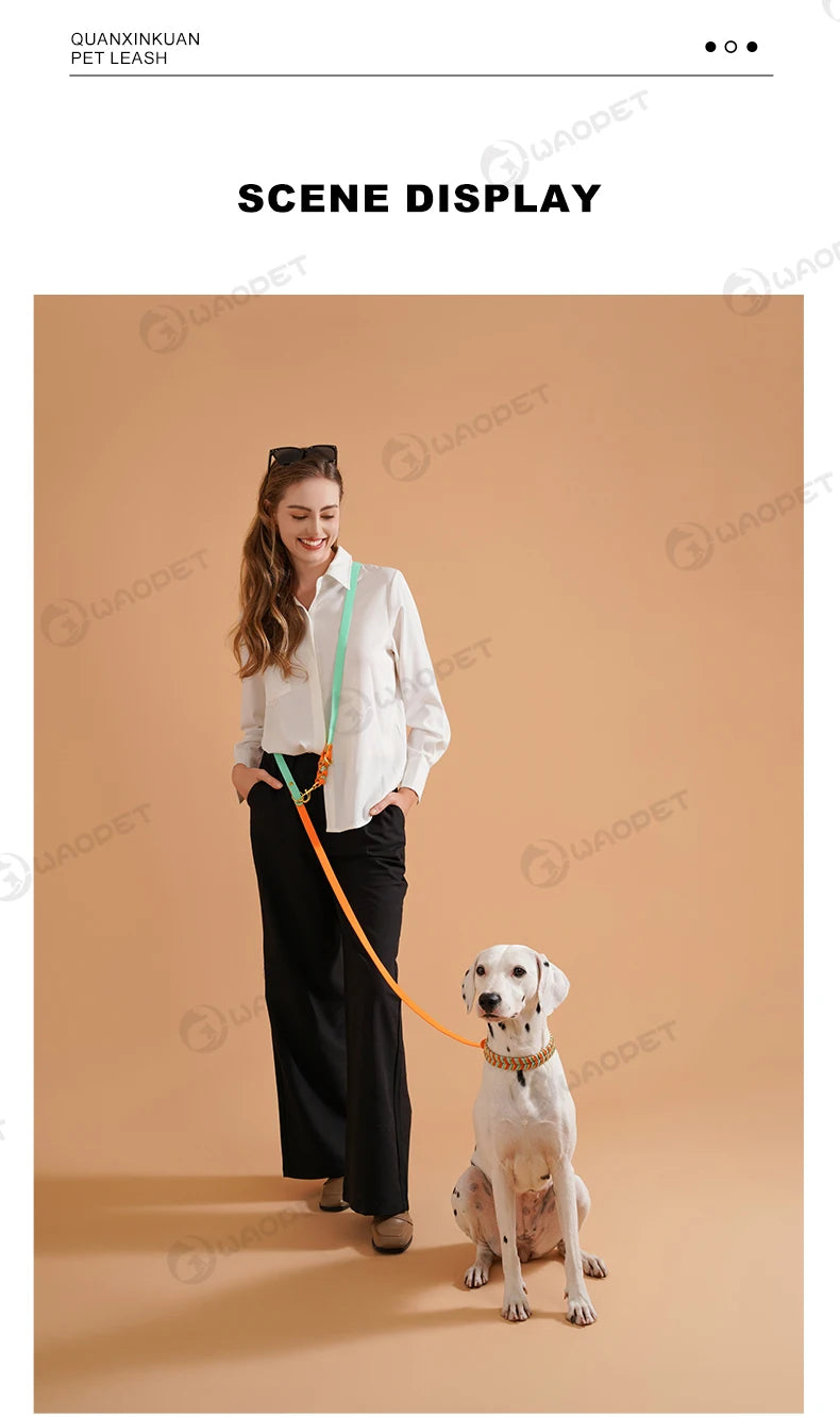 Dog Fashion Collar