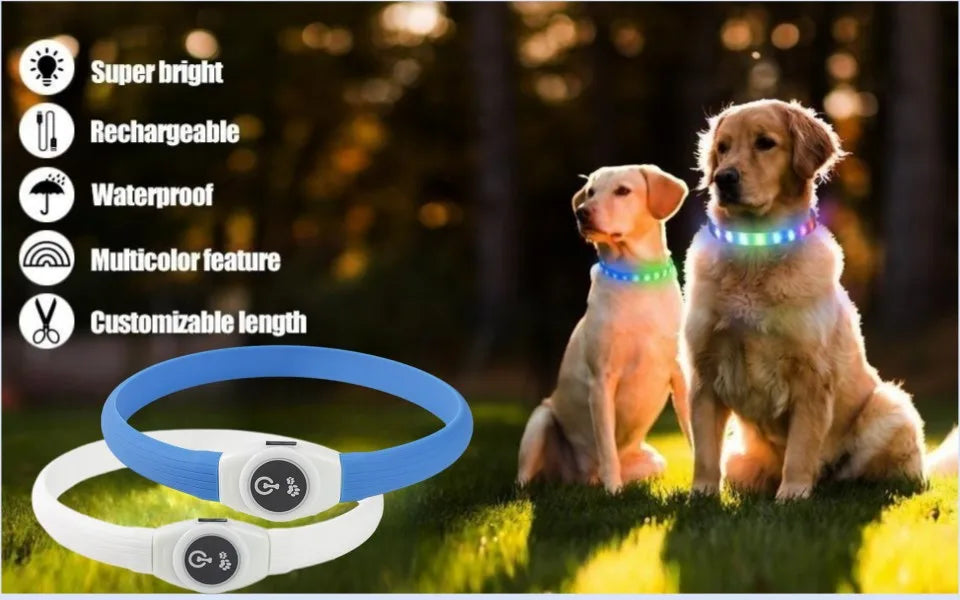 LED Dog Collar