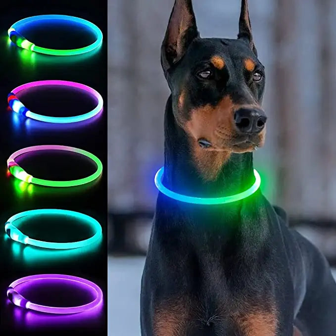 LED Dog Collar