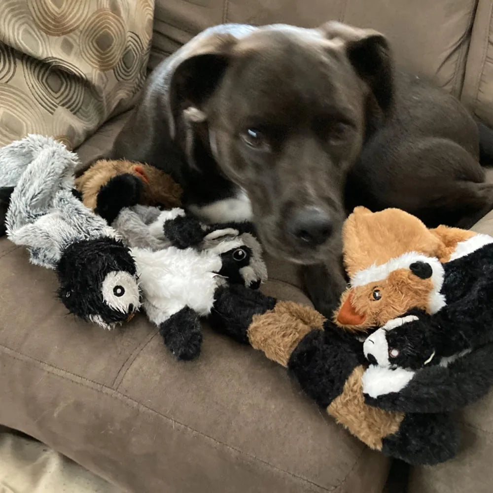 Animal Dog Toy No Stuffing