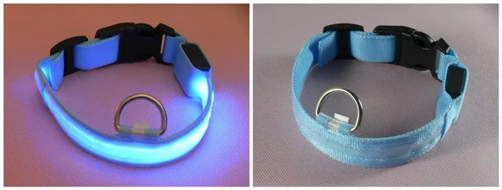 LED Dog Collar