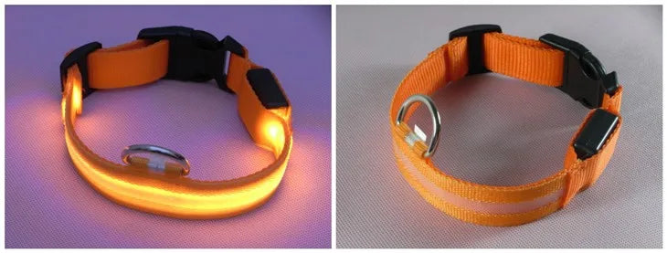 LED Dog Collar