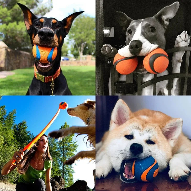 Toy Fetch Ball