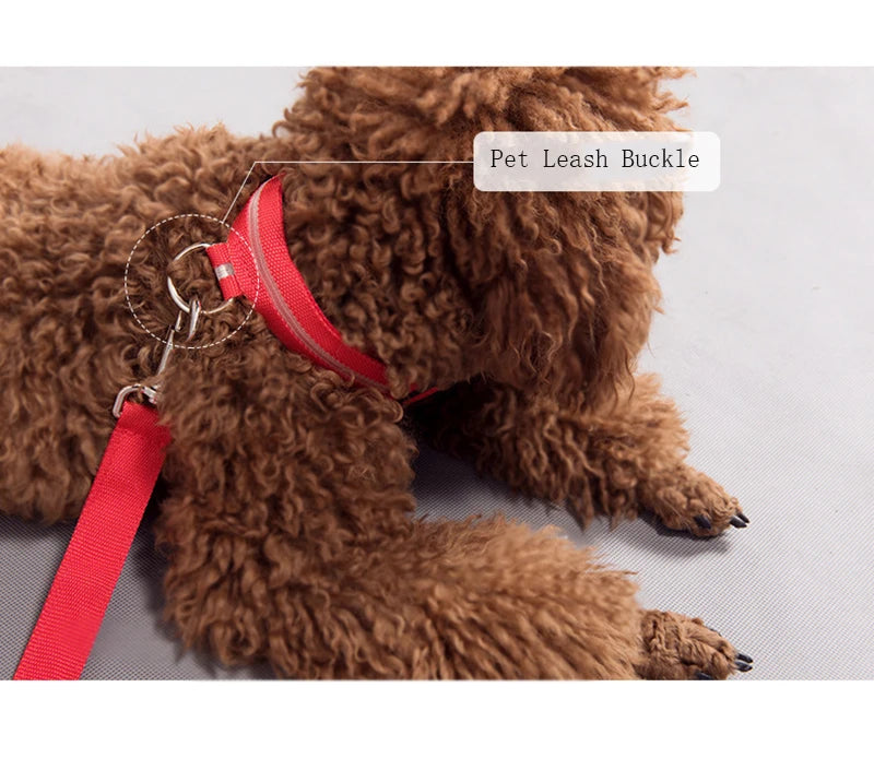 LED Dog Collar