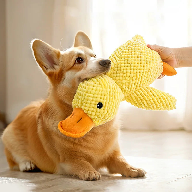 Pet Plush Duck Toy