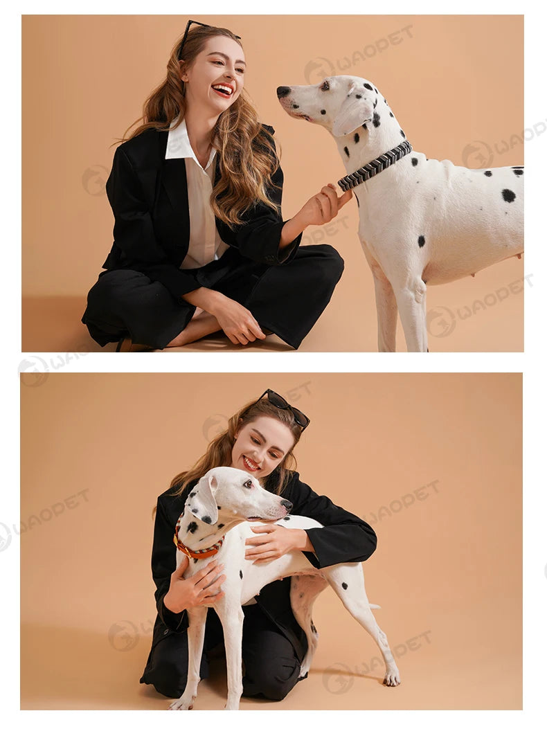 Dog Fashion Collar