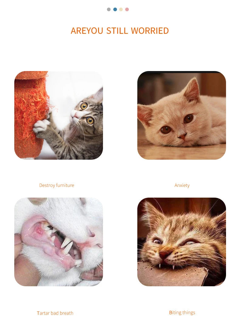 Carrot Cat Toy