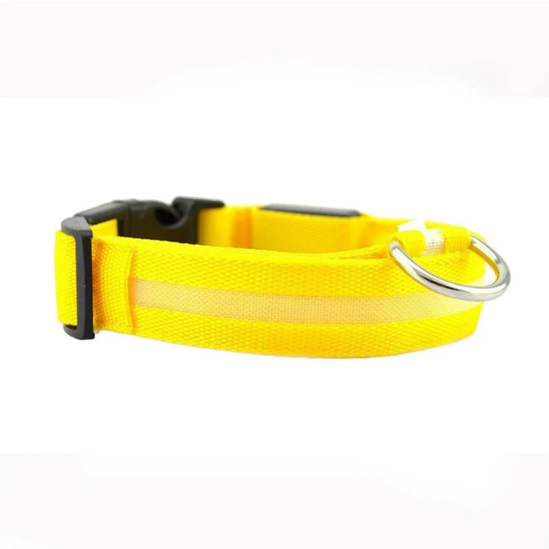 LED Dog Collar