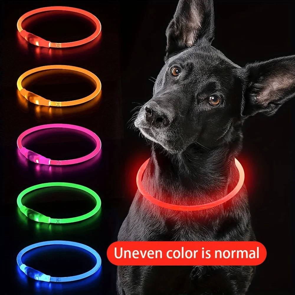 LED Dog Collar