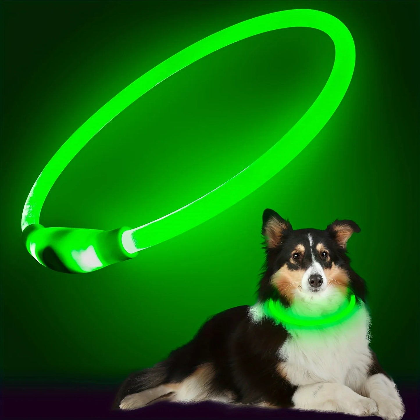 LED Dog Collar