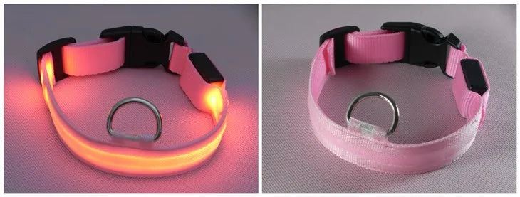 LED Dog Collar