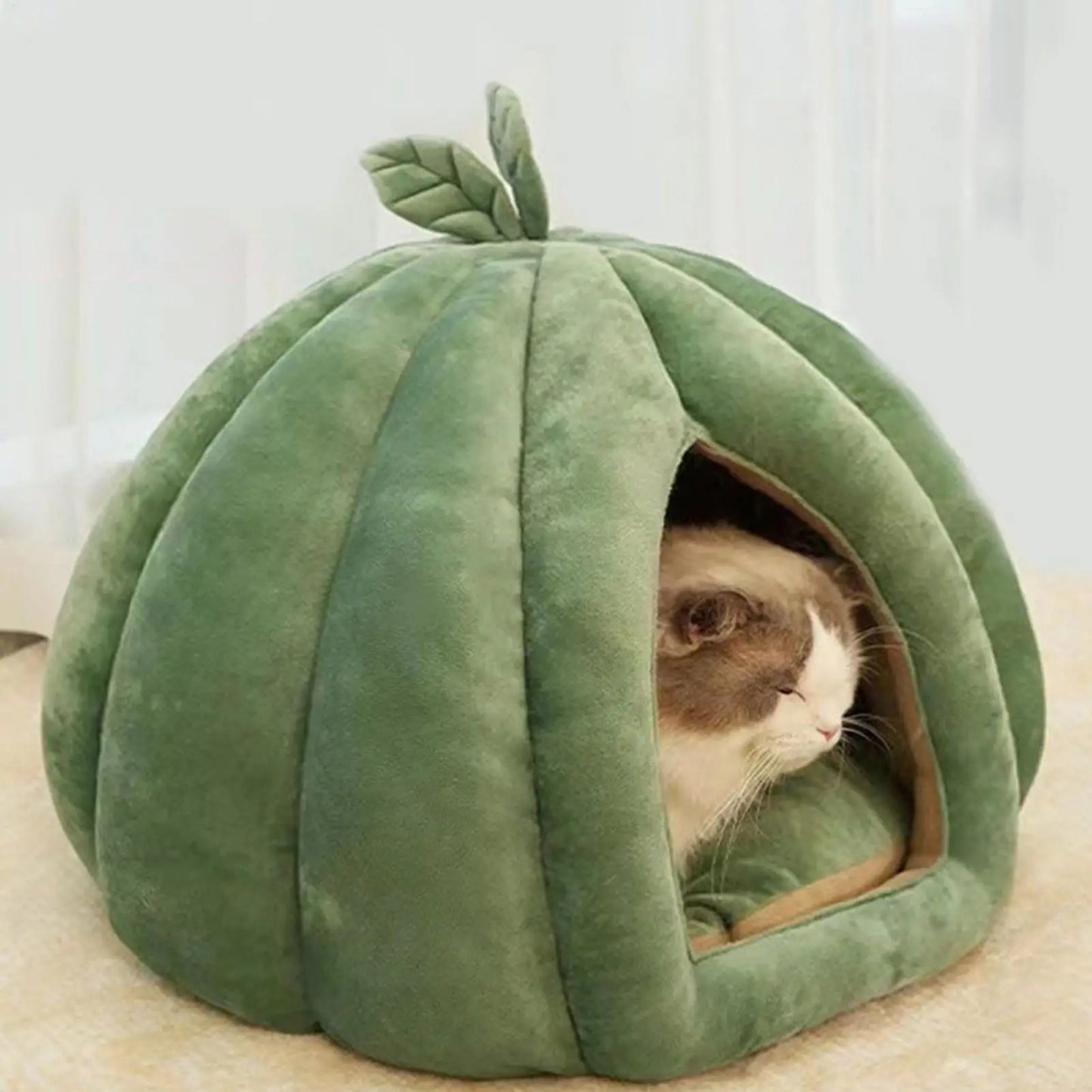Pumpkin Cat House Bed