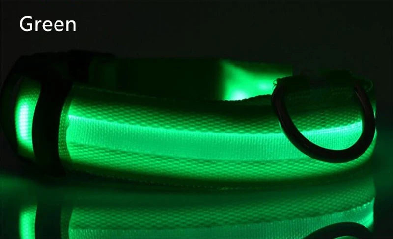LED Dog Collar