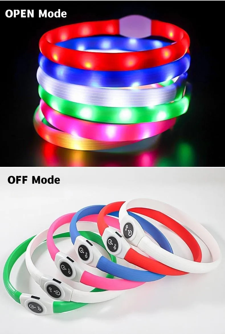 LED Dog Collar
