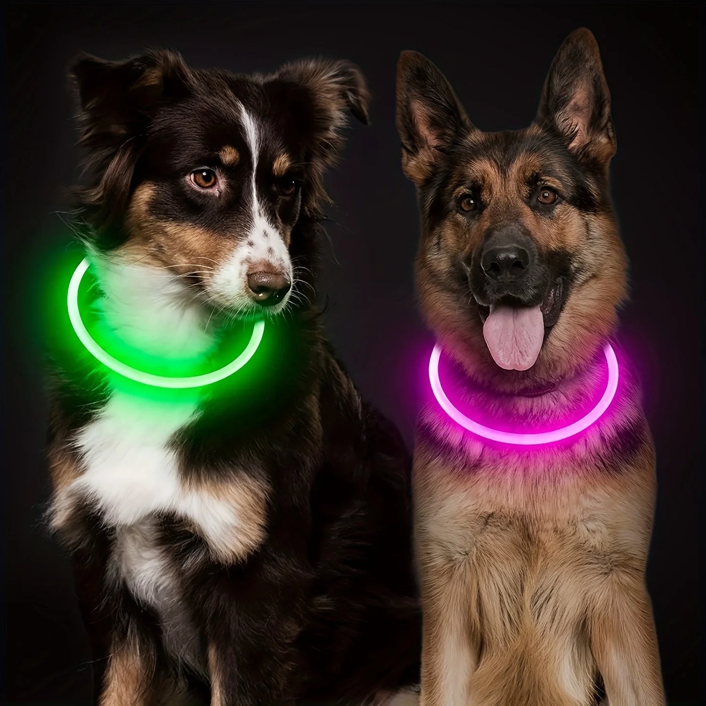 LED Dog Collar