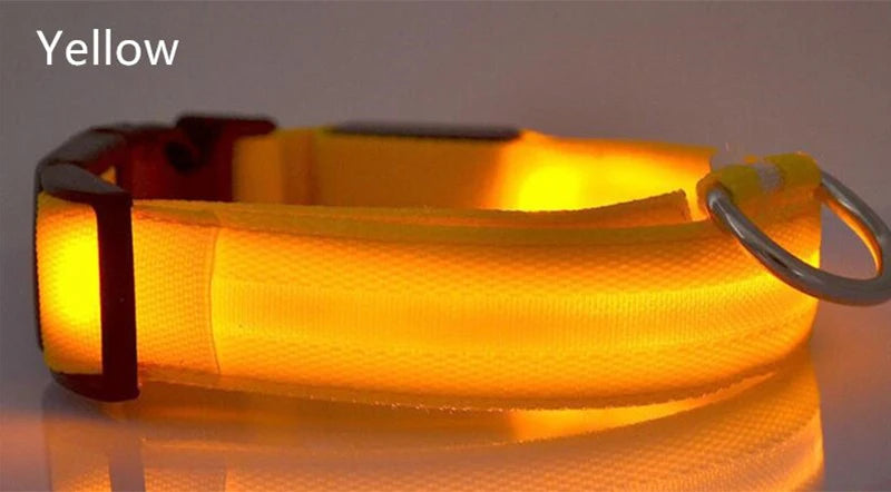 LED Dog Collar