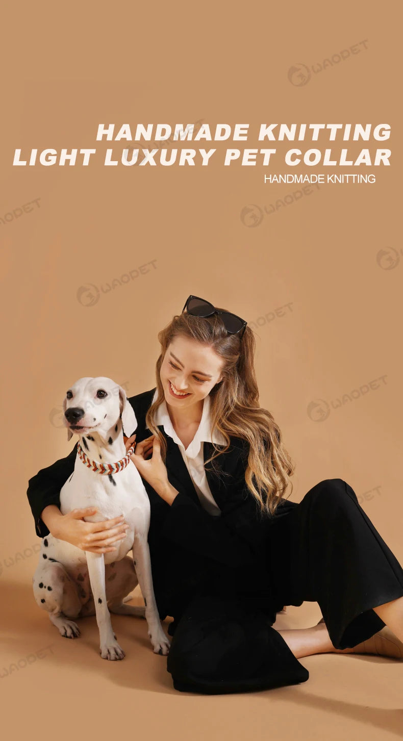 Dog Fashion Collar