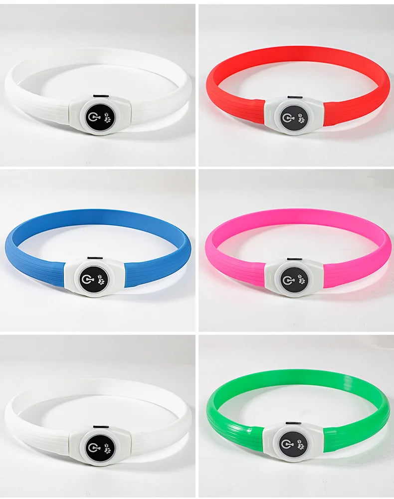 LED Dog Collar