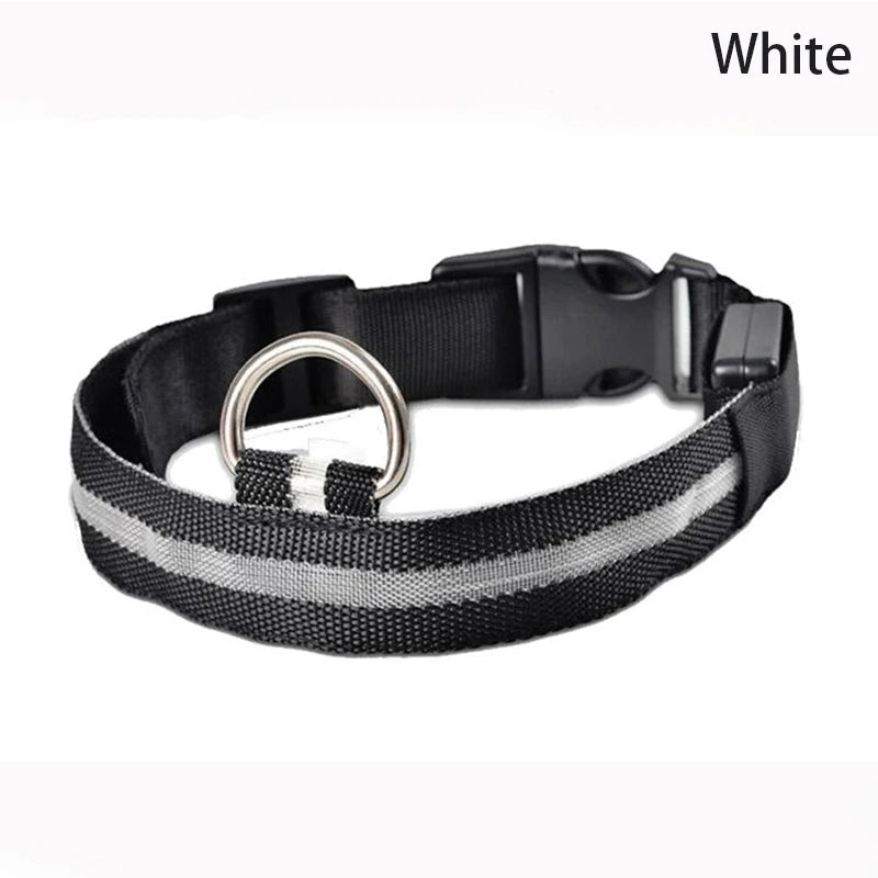 LED Dog Collar
