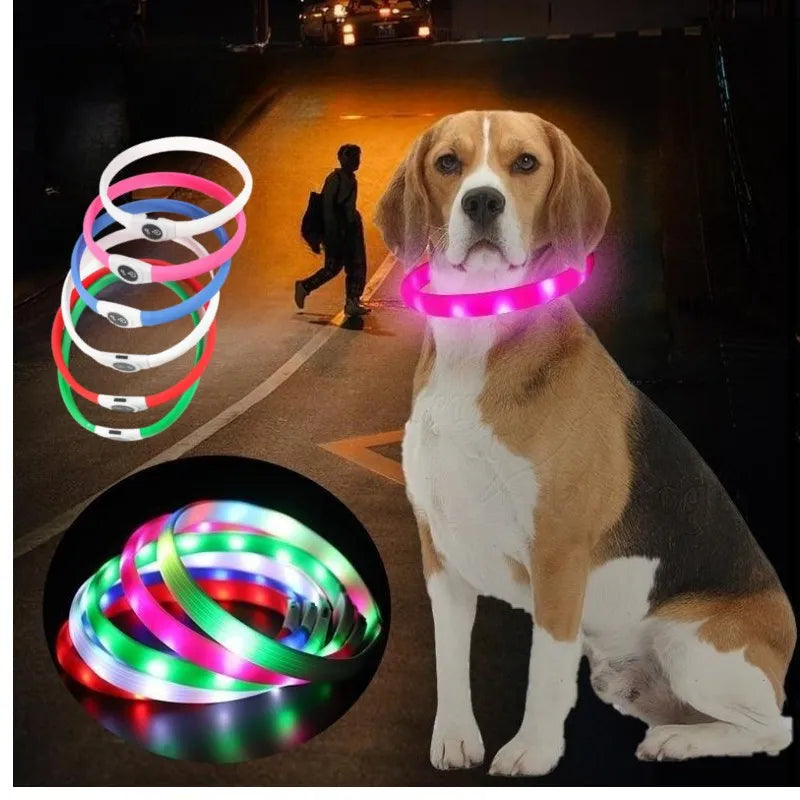 LED Dog Collar