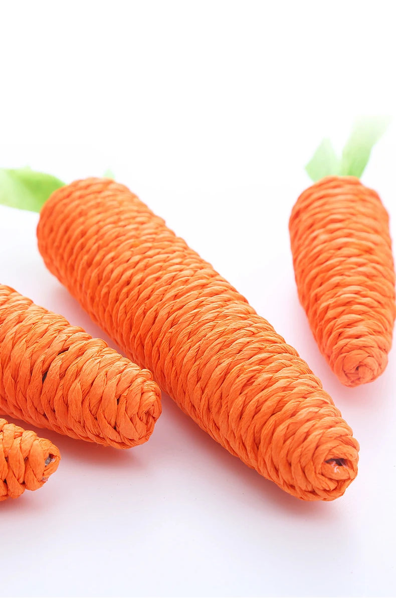 Carrot Cat Toy