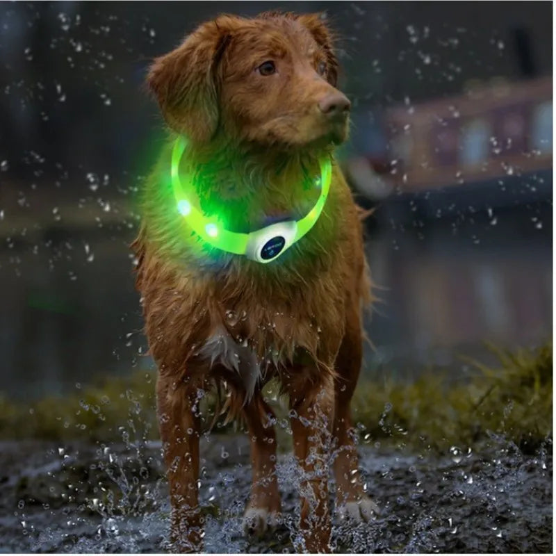LED Dog Collar