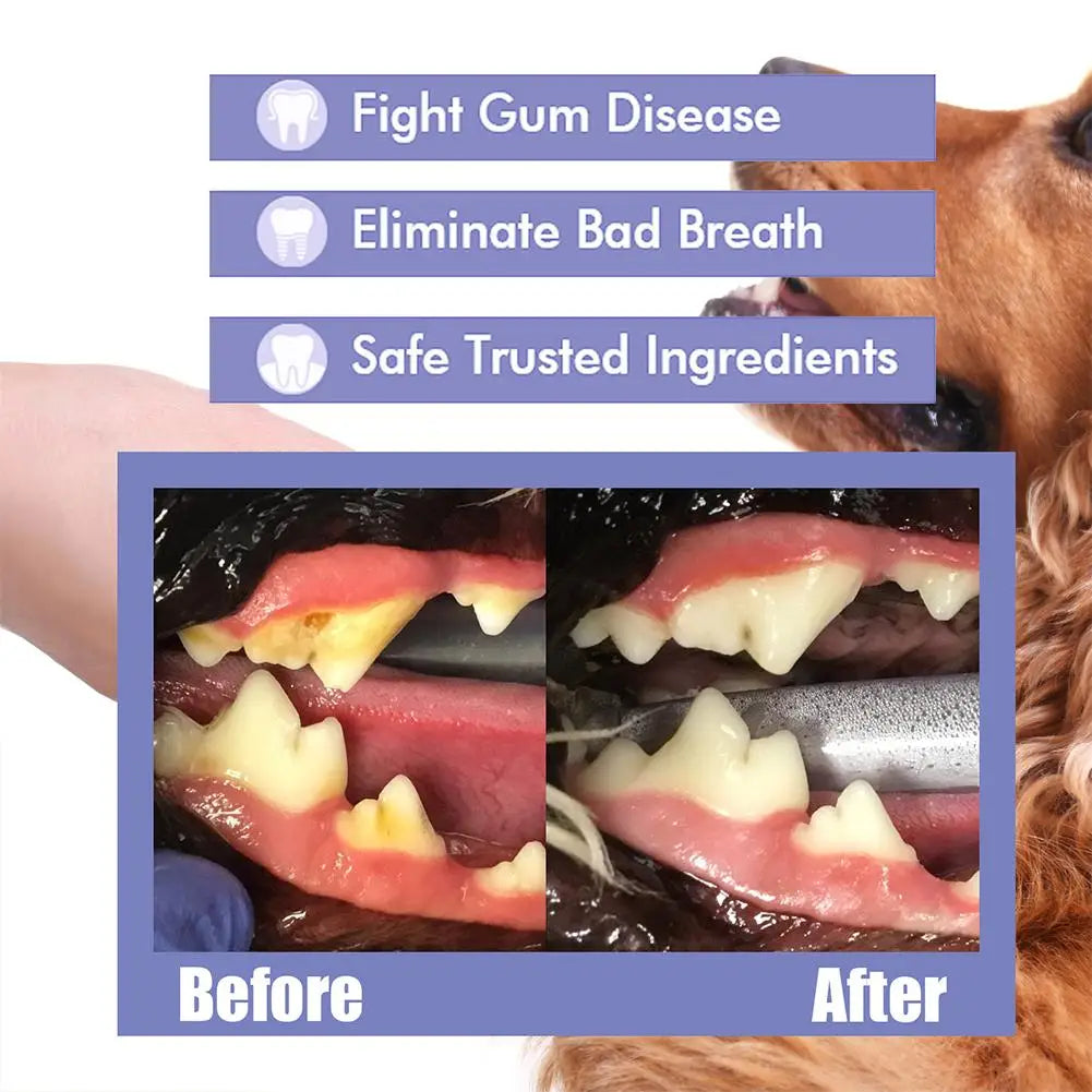 Oral Care Bad Breath/Teeth Cleaning Pet