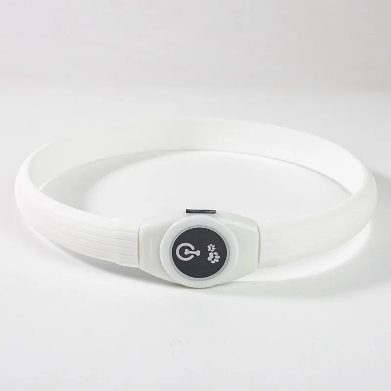 LED Dog Collar