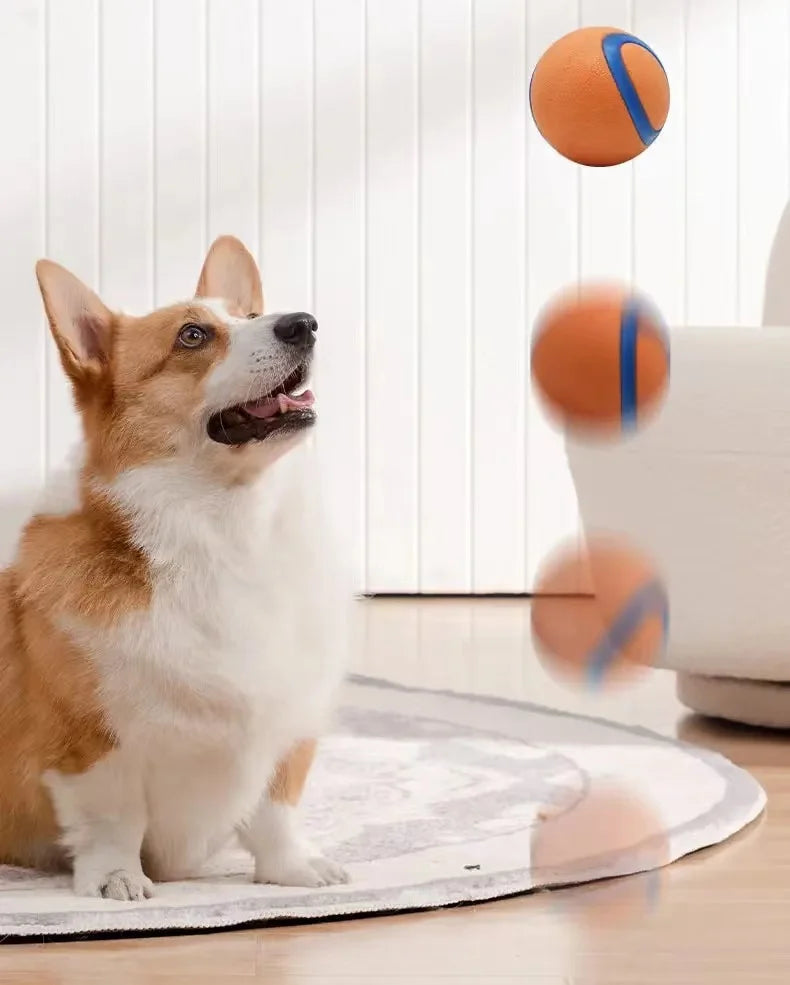 Toy Fetch Ball